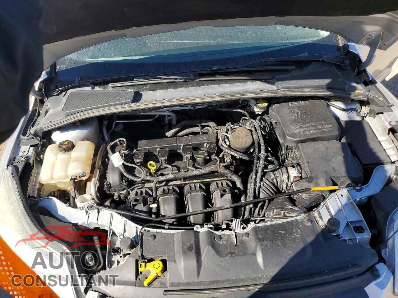 FORD FOCUS 2012 - 1FAHP3M21CL362343