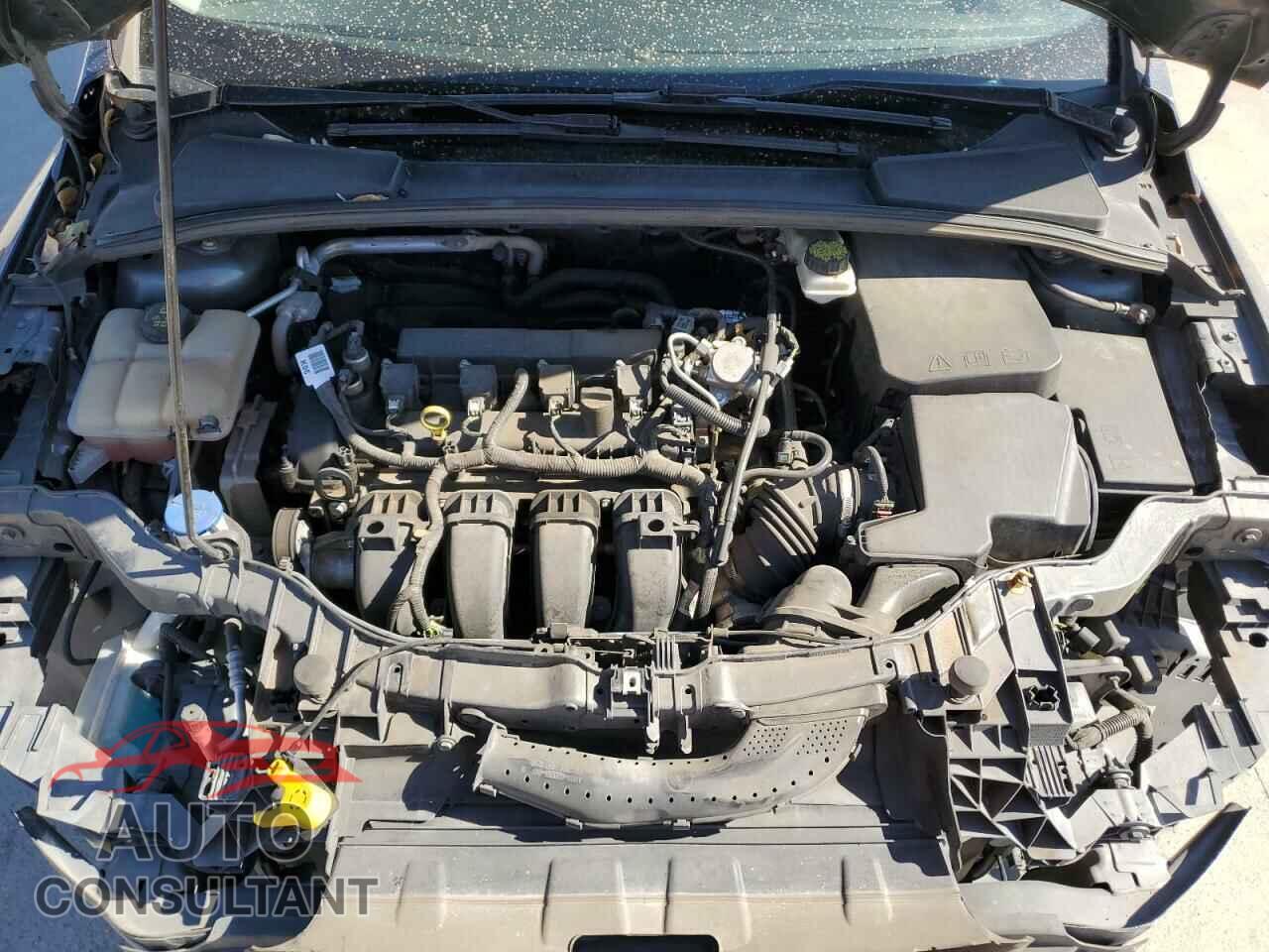 FORD FOCUS 2017 - 1FADP3M2XHL229506