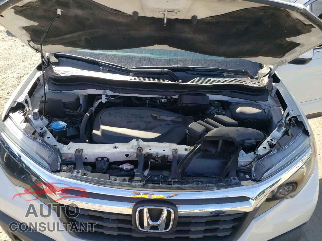HONDA RIDGELINE 2019 - 5FPYK3F61KB018500