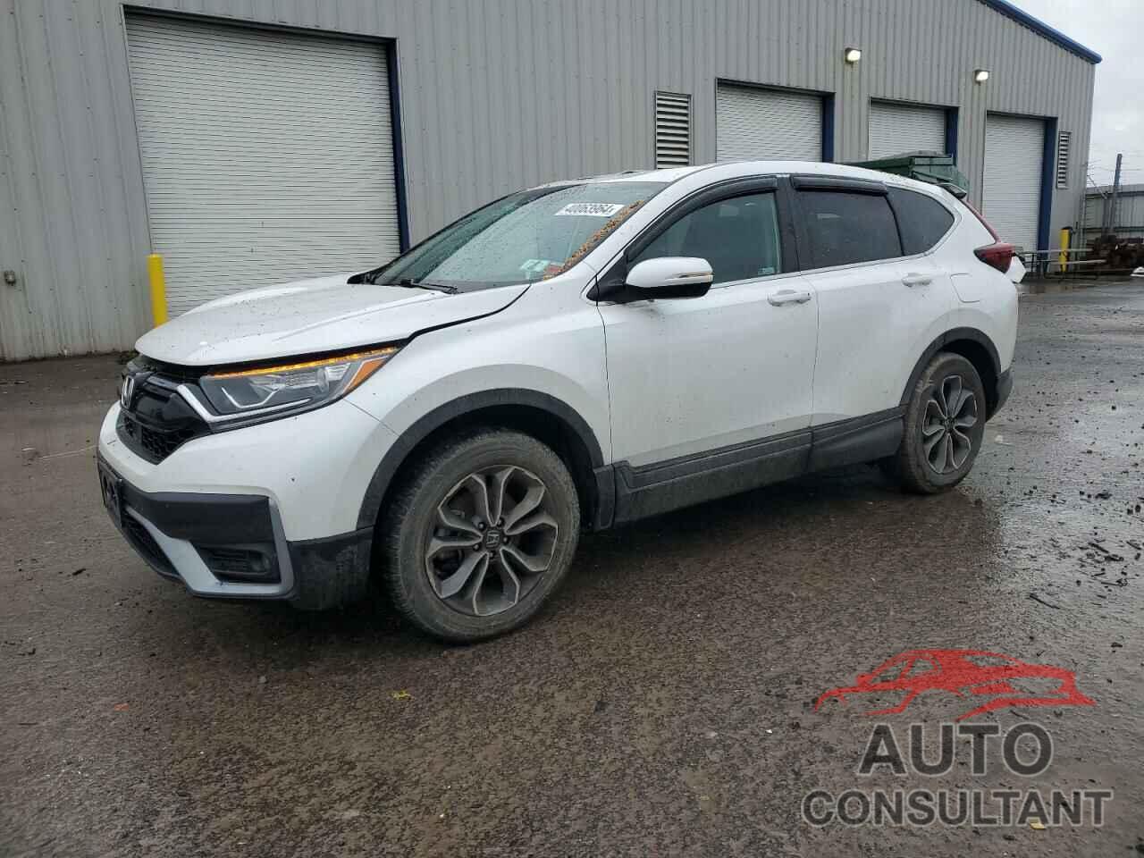 HONDA CRV 2020 - 2HKRW2H58LH669724