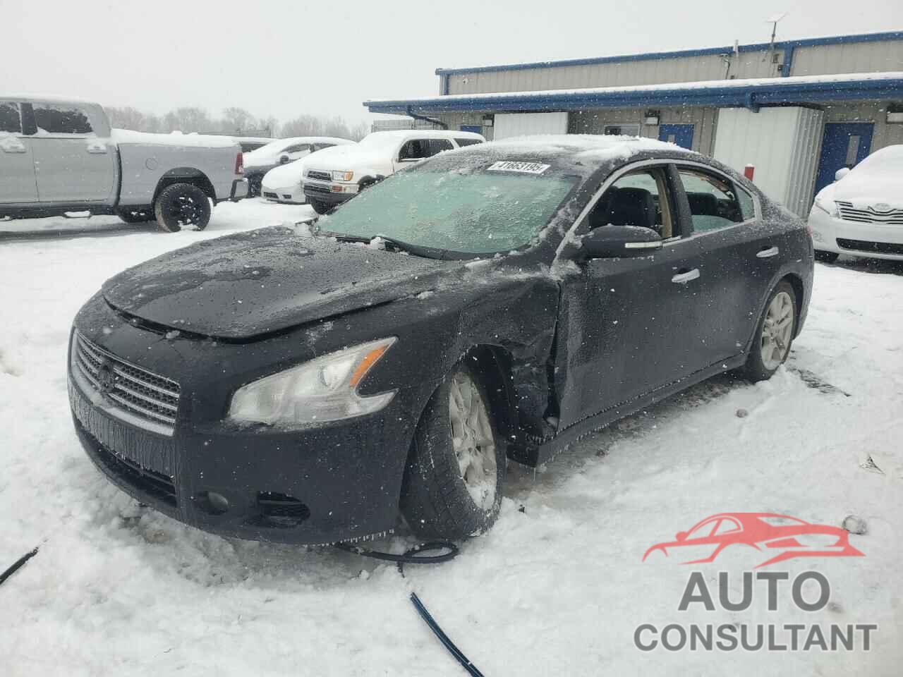 NISSAN MAXIMA 2010 - 1N4AA5AP2AC875287