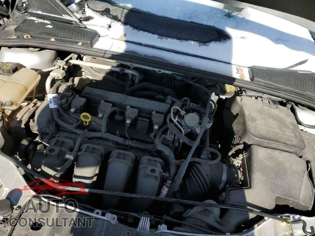 FORD FOCUS 2016 - 1FADP3F26GL332241