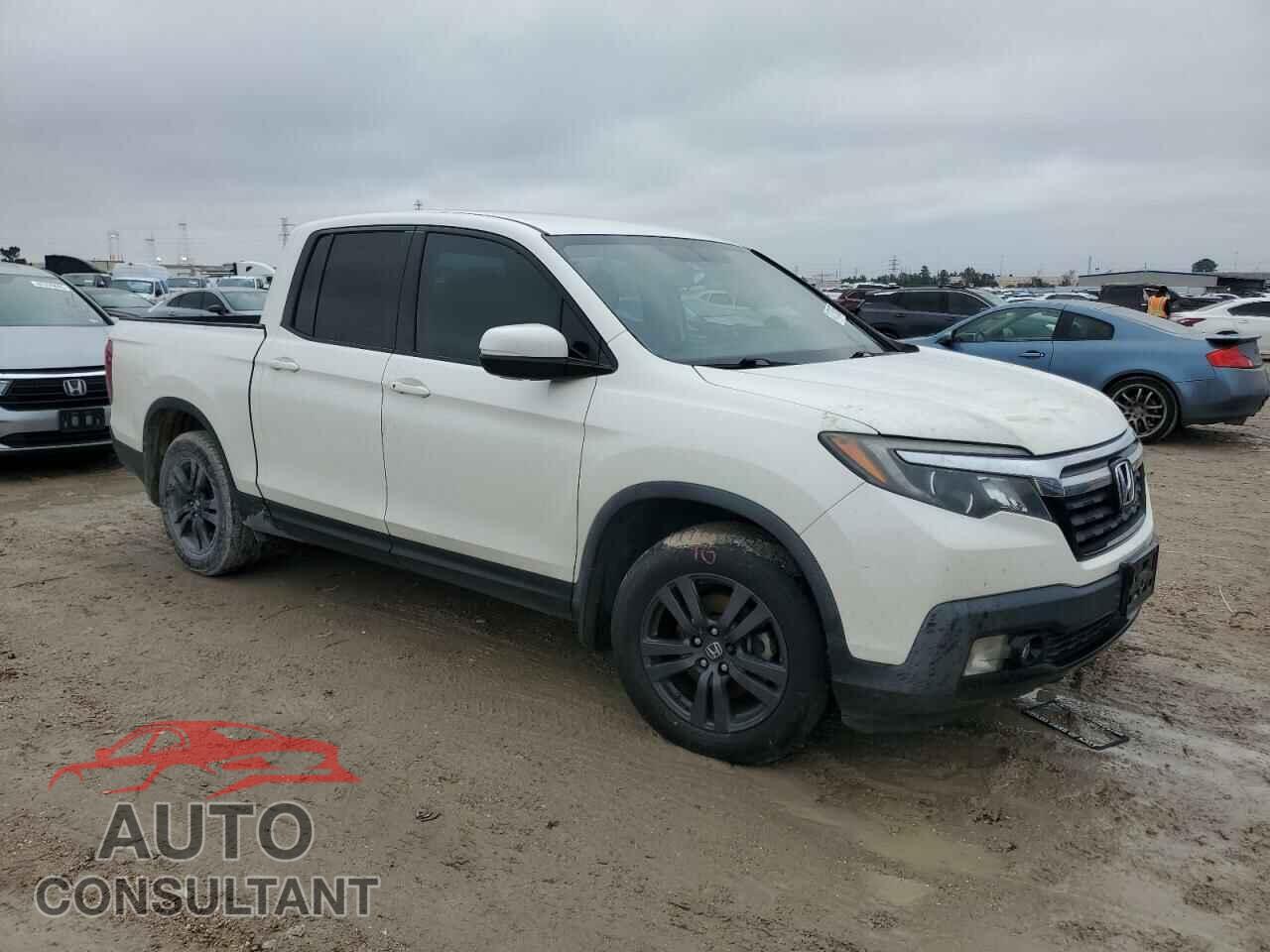 HONDA RIDGELINE 2019 - 5FPYK2F12KB002708