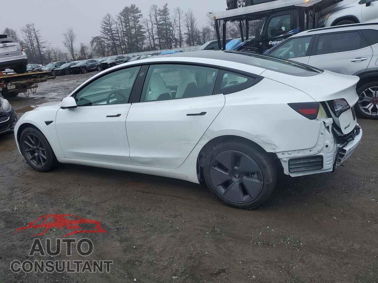 TESLA MODEL 3 2023 - 5YJ3E1EA5PF495832
