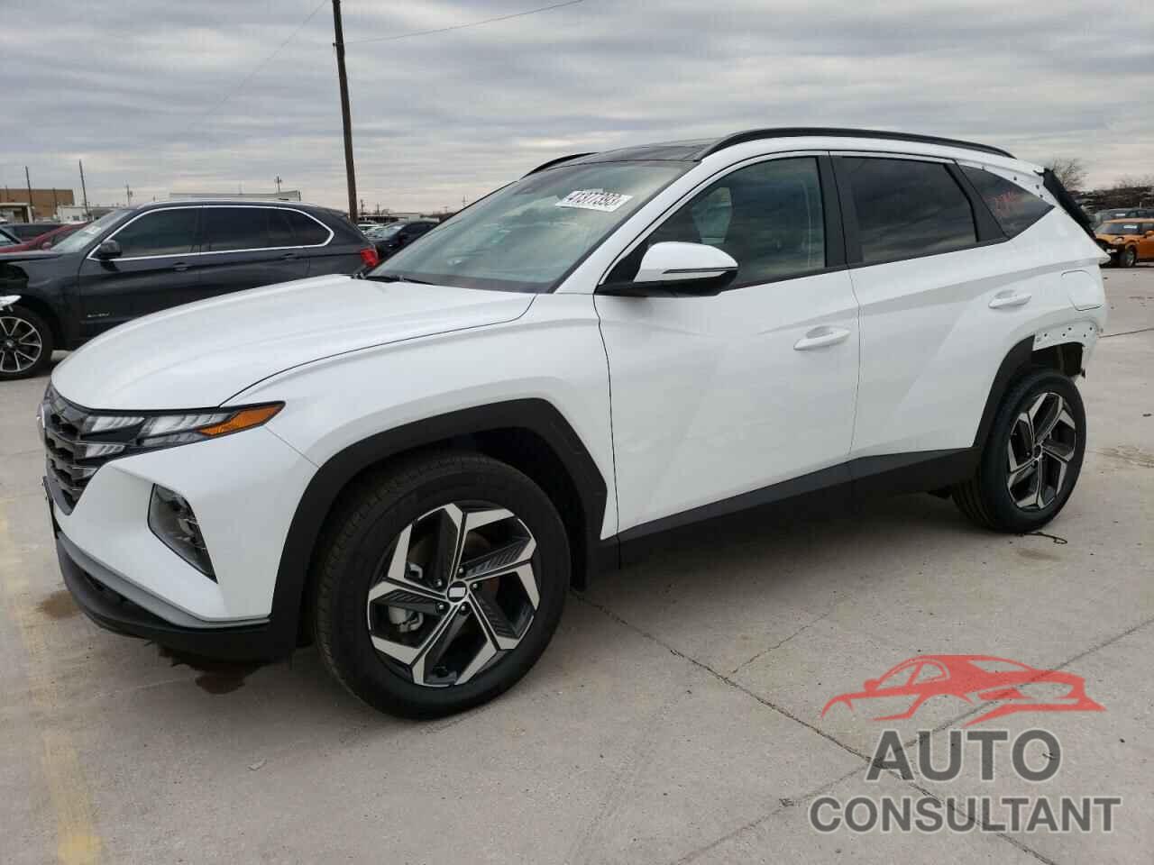 HYUNDAI TUCSON 2023 - KM8JFCA19PU093627