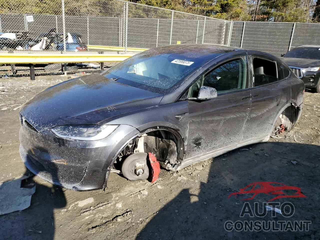 TESLA MODEL X 2024 - 7SAXCBE61RF448716