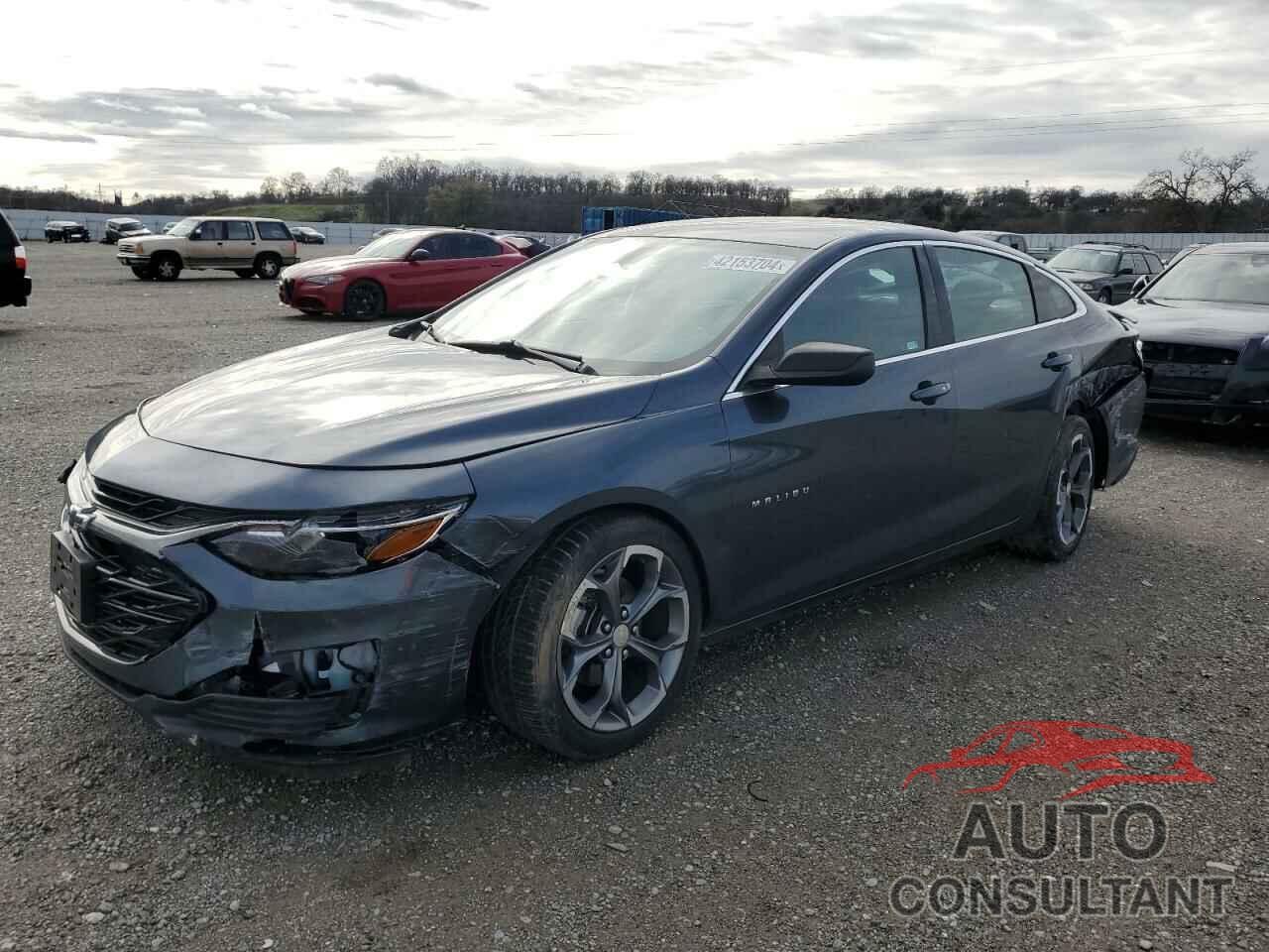 CHEVROLET MALIBU 2019 - 1G1ZG5ST5KF186750