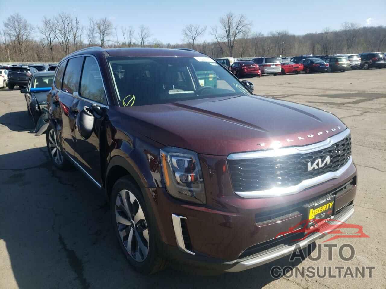 KIA TELLURIDE 2022 - 5XYP3DHC0NG265689