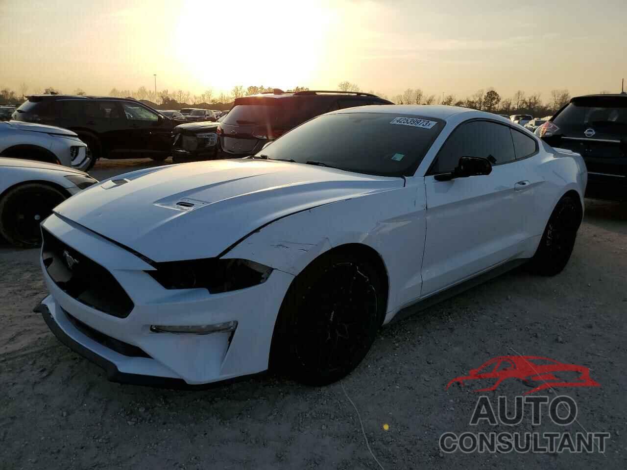 FORD MUSTANG 2019 - 1FA6P8TH9K5181066