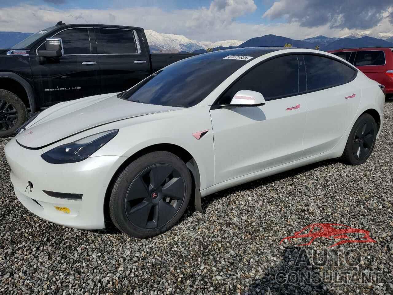 TESLA MODEL 3 2021 - 5YJ3E1EB7MF060329