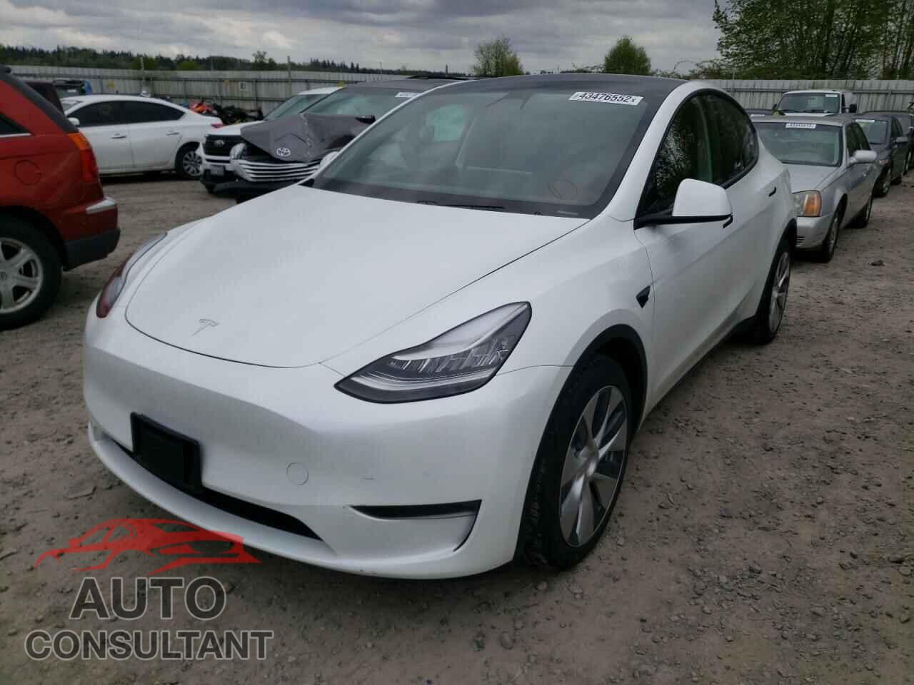 TESLA MODEL Y 2021 - 5YJYGDEEXMF065729
