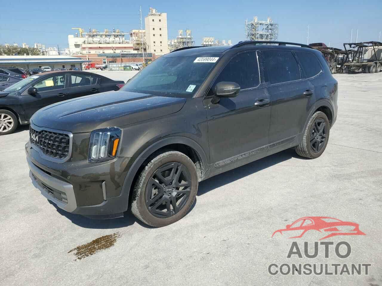 KIA TELLURIDE 2023 - 5XYP5DGC1PG337157