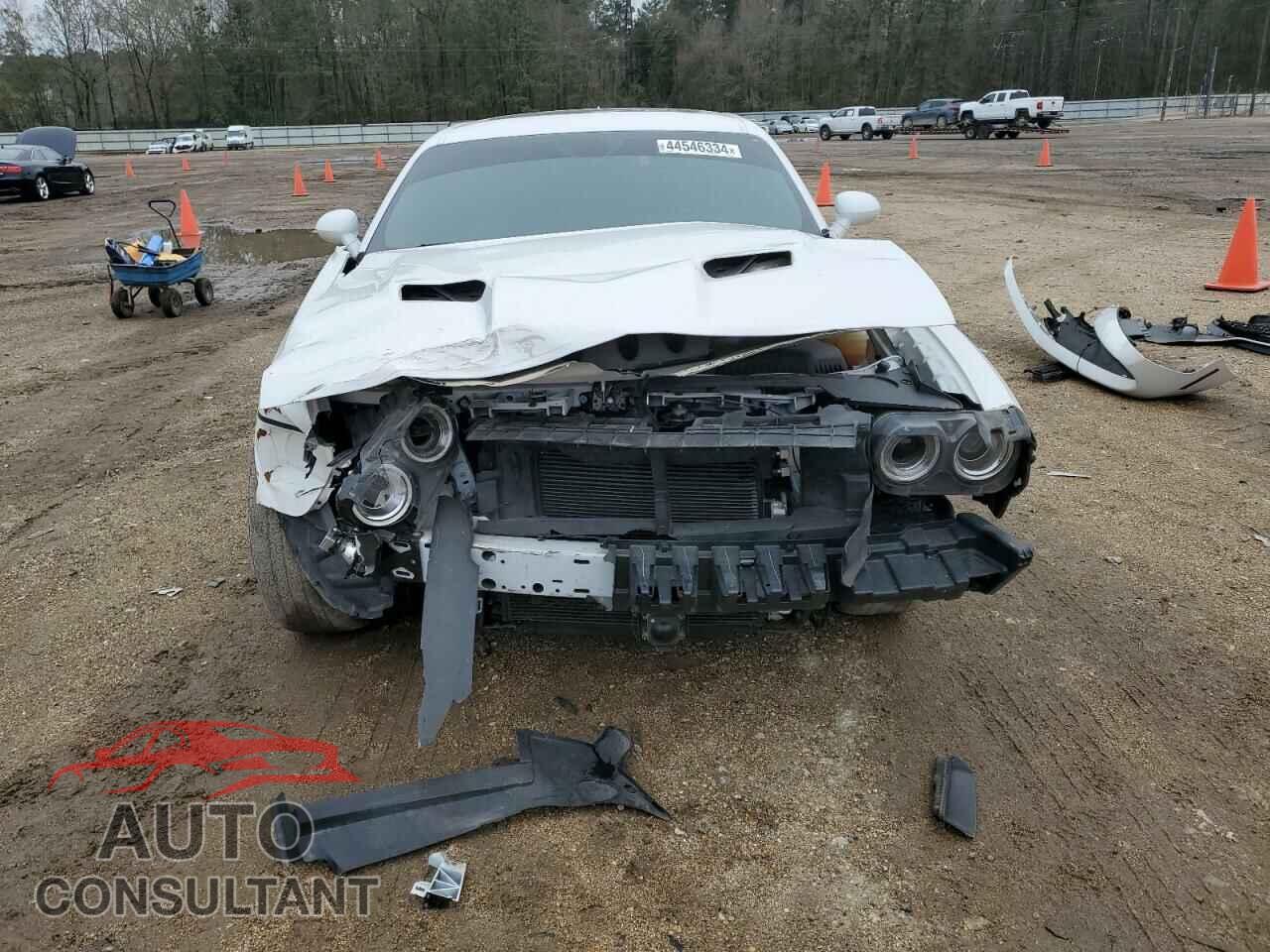 DODGE CHALLENGER 2017 - 2C3CDZGG9HH543321