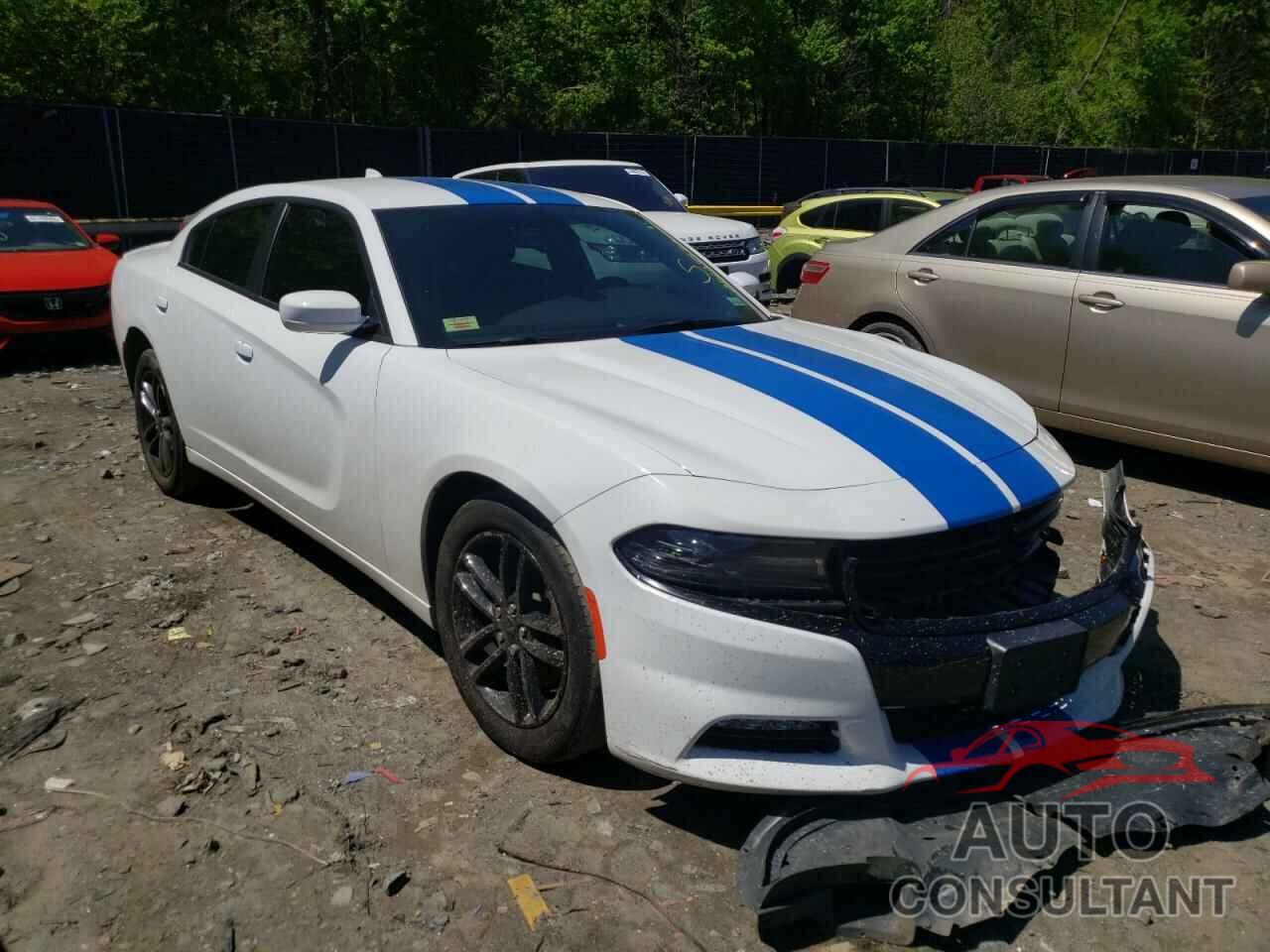 DODGE CHARGER 2019 - 2C3CDXJG1KH710677
