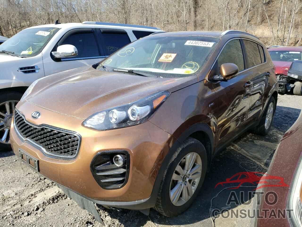 KIA SPORTAGE 2017 - KNDPMCAC1H7239279