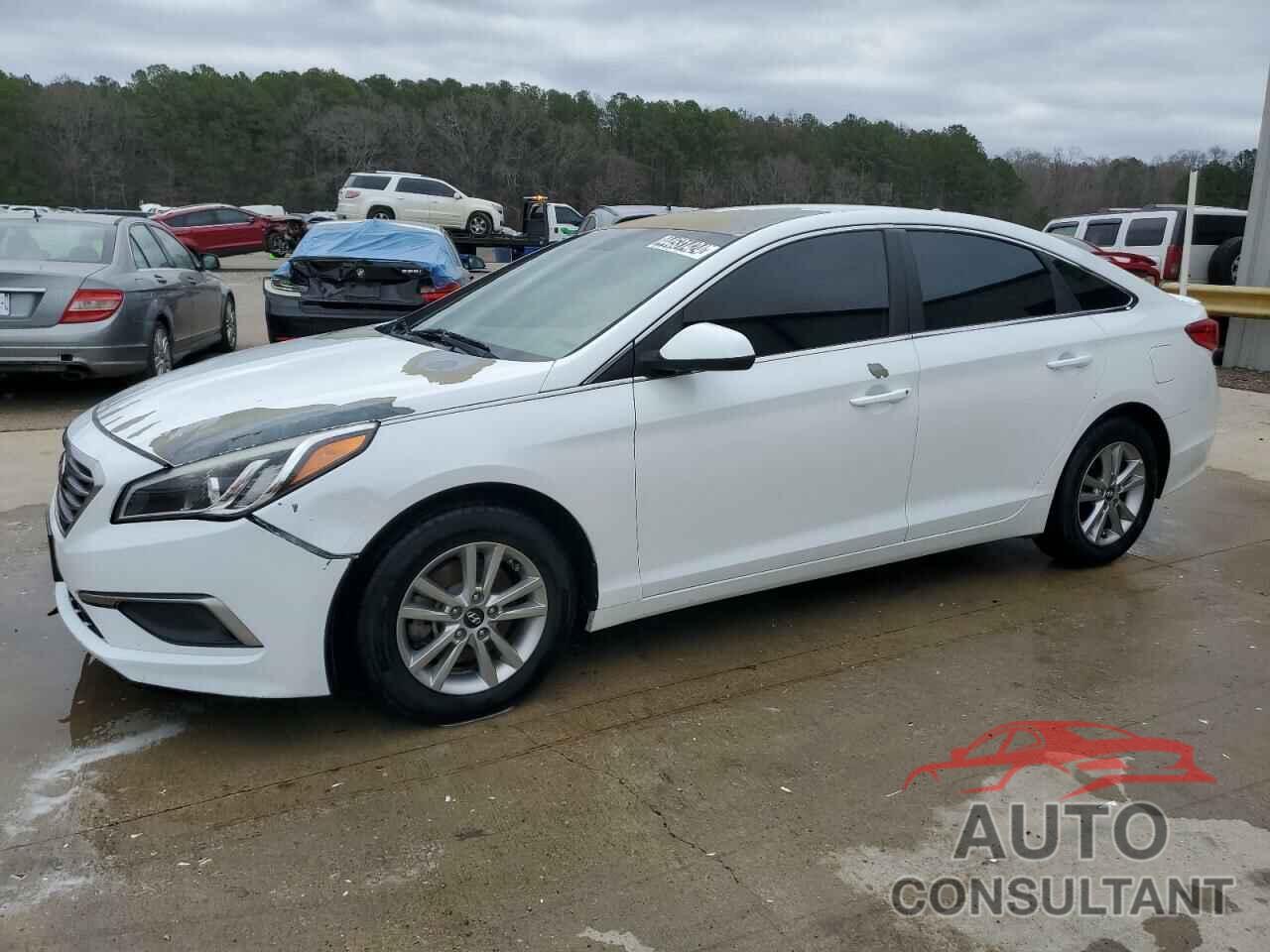 HYUNDAI SONATA 2017 - 5NPE24AF6HH491165