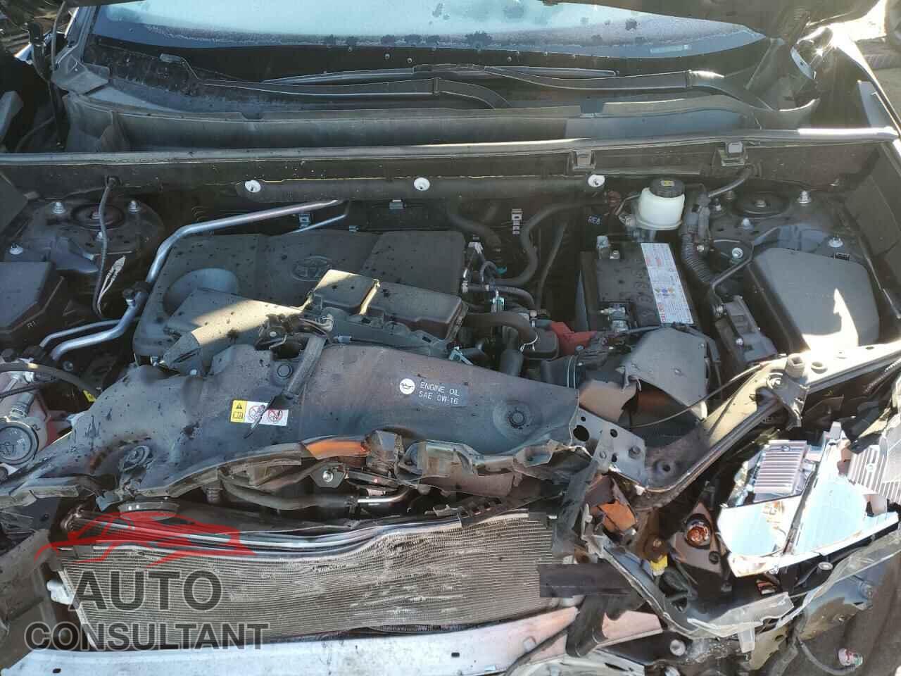 TOYOTA RAV4 2019 - JTMP1RFV0KD007884