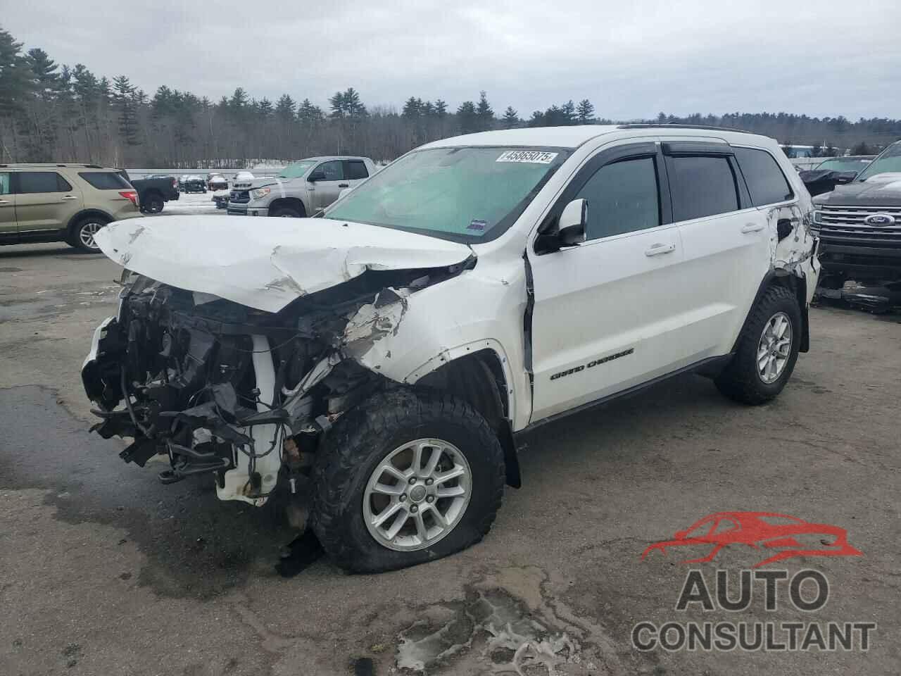 JEEP GRAND CHER 2019 - 1C4RJFAG5KC551464