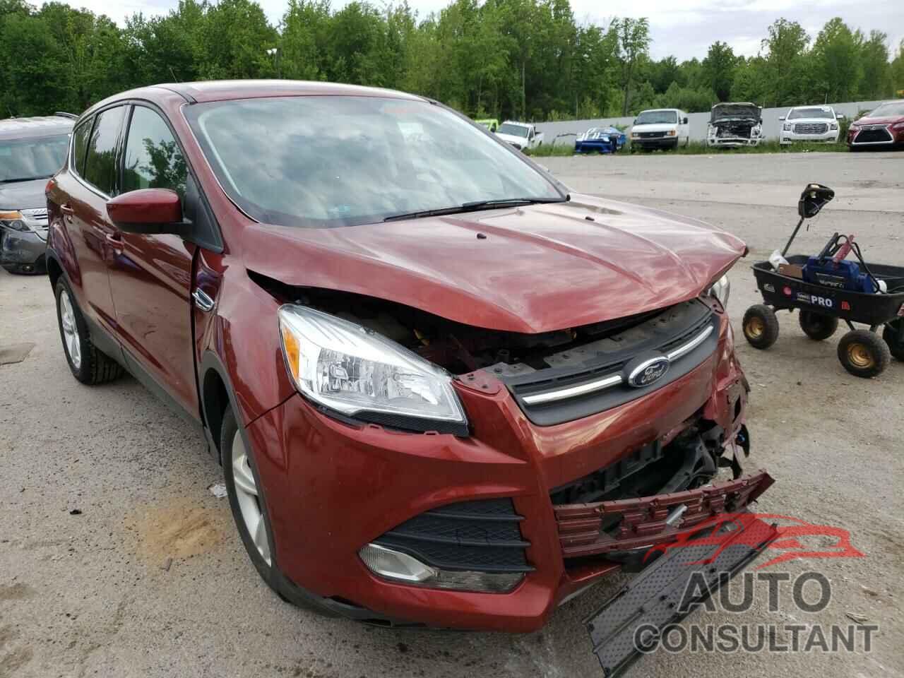 FORD ESCAPE 2016 - 1FMCU0GX8GUA37302