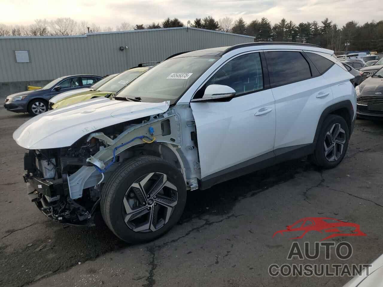 HYUNDAI TUCSON 2023 - KM8JECA18PU094061