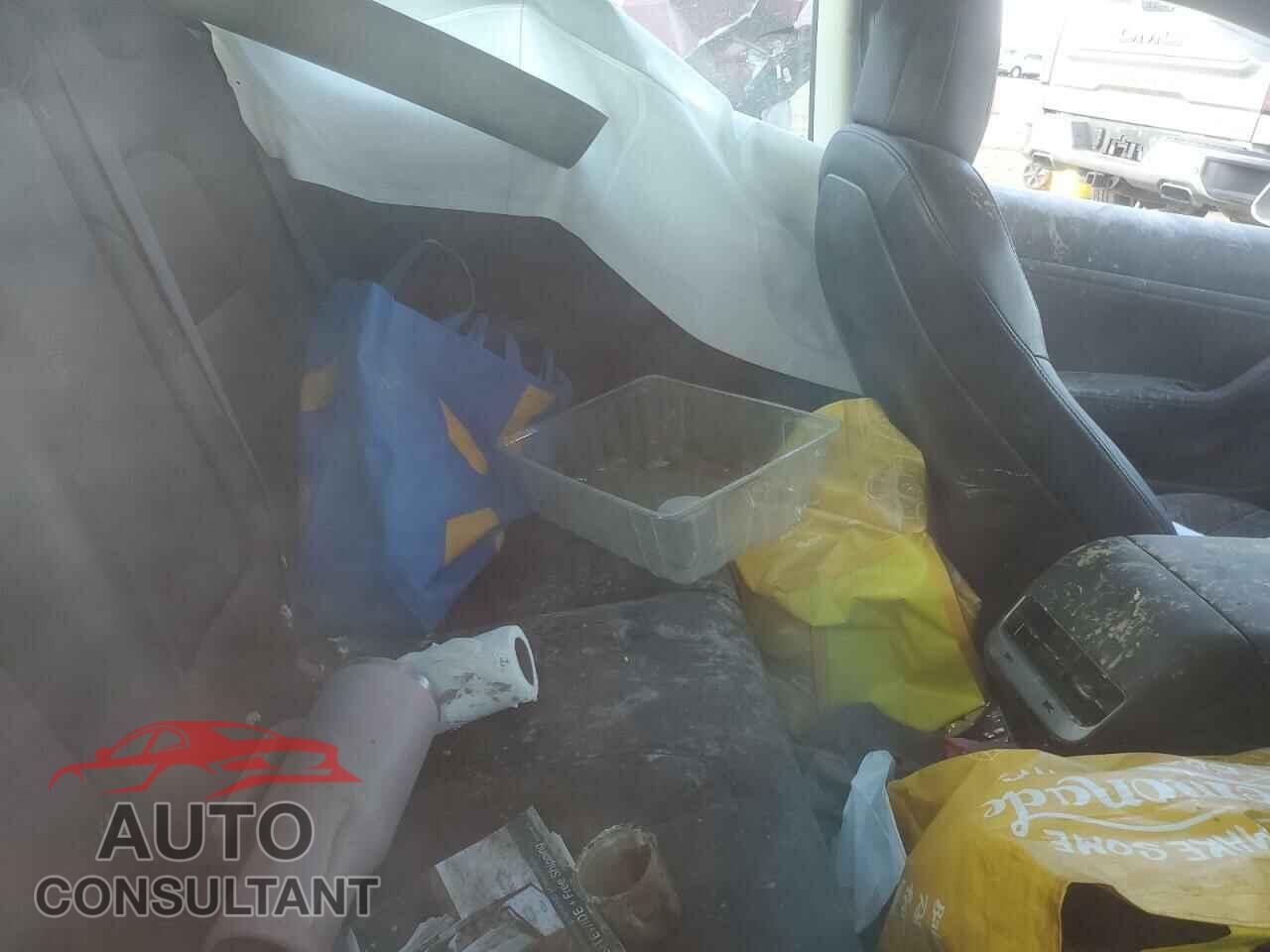 TESLA MODEL 3 2019 - 5YJ3E1EB3KF512077