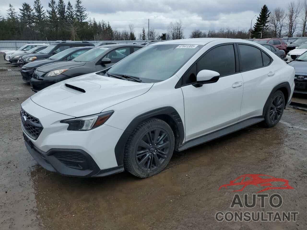 SUBARU WRX 2024 - JF1VBAB60R9808709