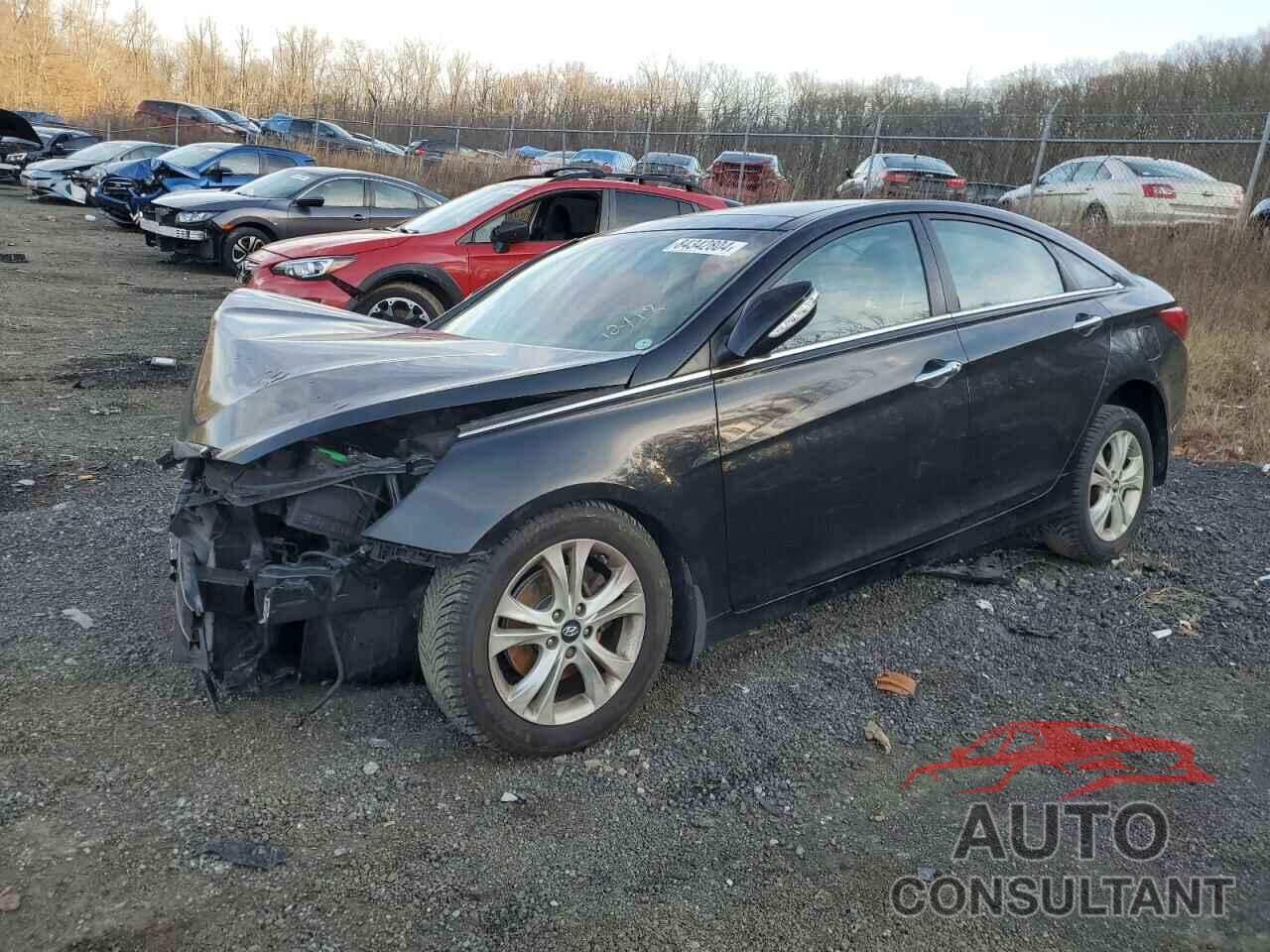 HYUNDAI SONATA 2013 - 5NPEC4AC2DH606194
