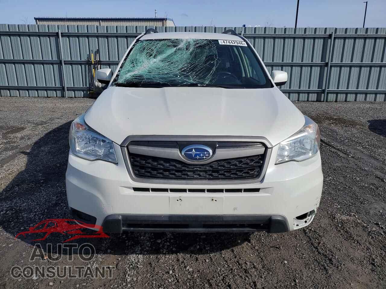 SUBARU FORESTER 2014 - JF2SJCAC1EH411823