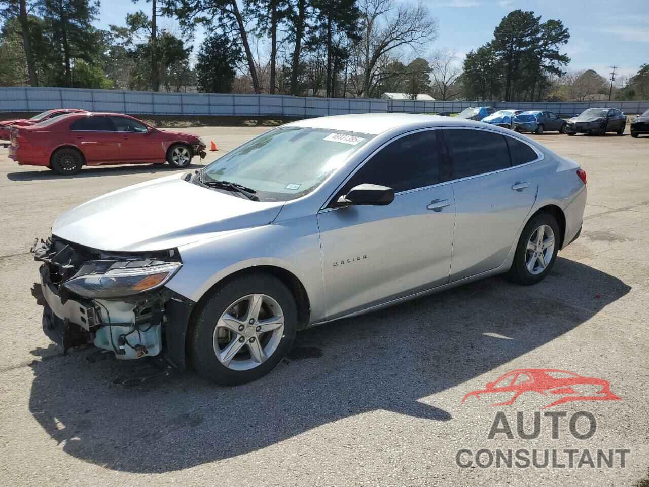 CHEVROLET MALIBU 2019 - 1G1ZB5ST9KF190198