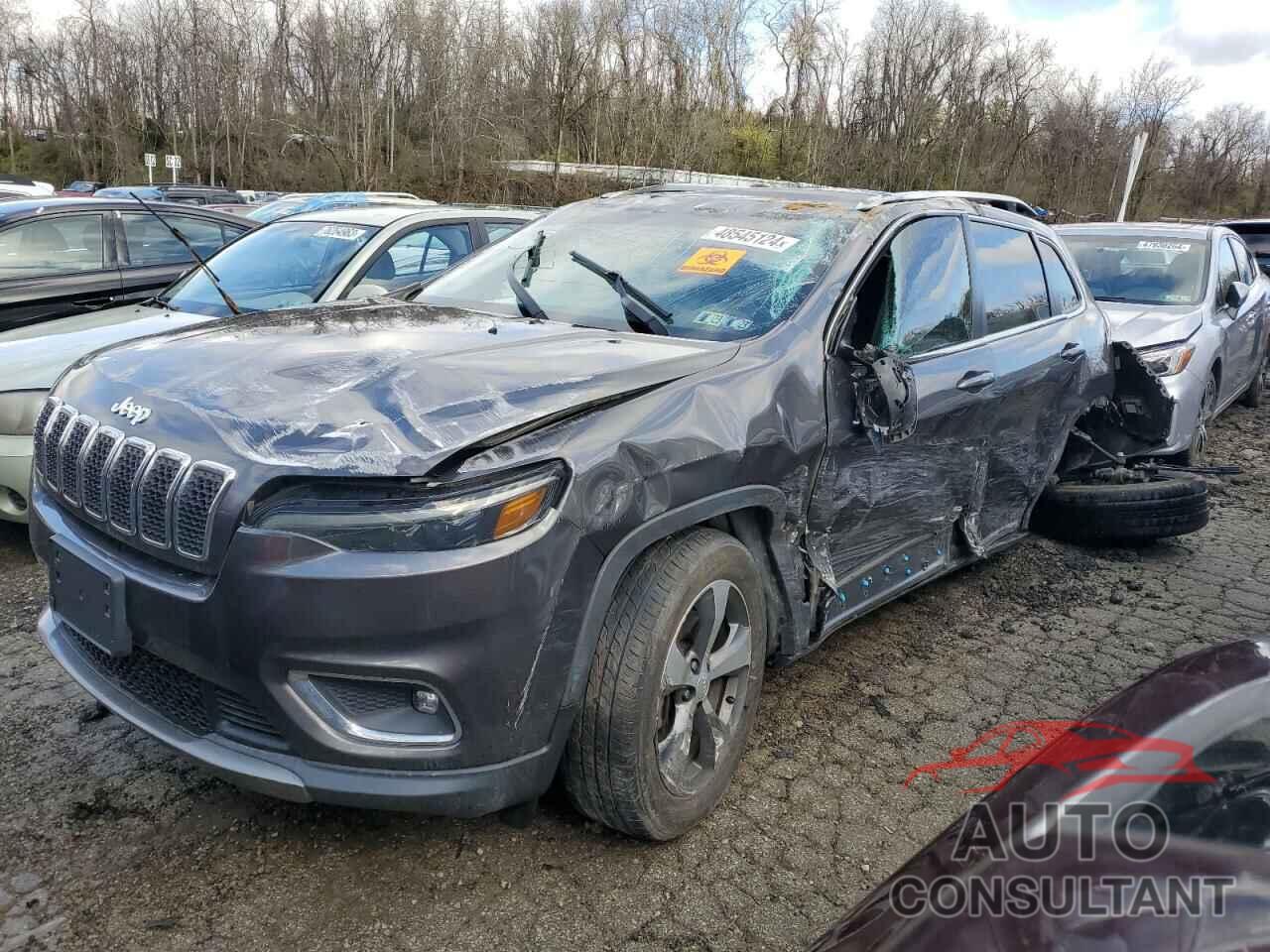 JEEP GRAND CHER 2019 - 1C4PJMDX6KD303757