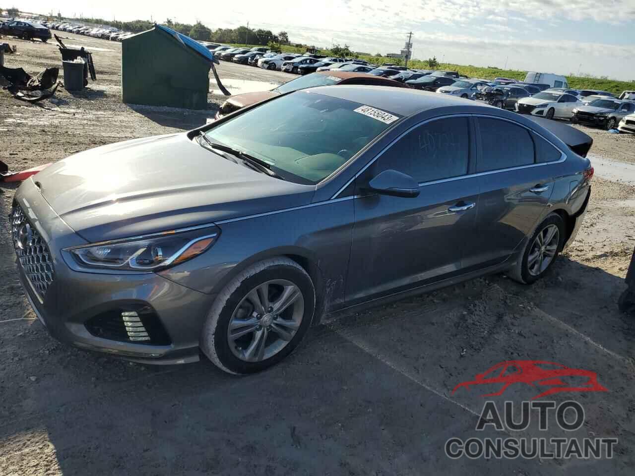 HYUNDAI SONATA 2019 - 5NPE34AF4KH818148