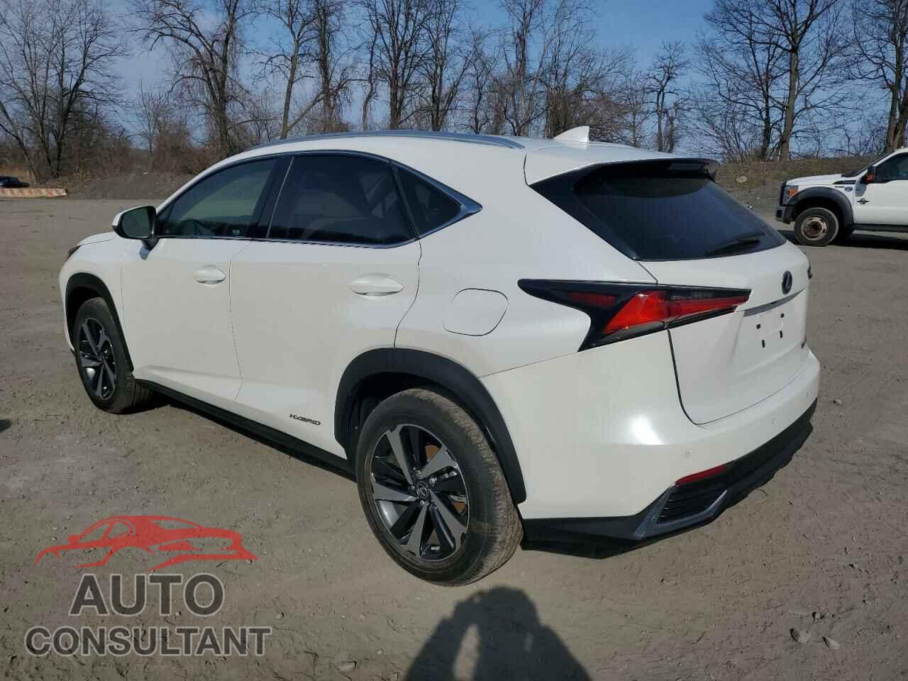 LEXUS NX 2020 - JTJGJRDZ8L5005122