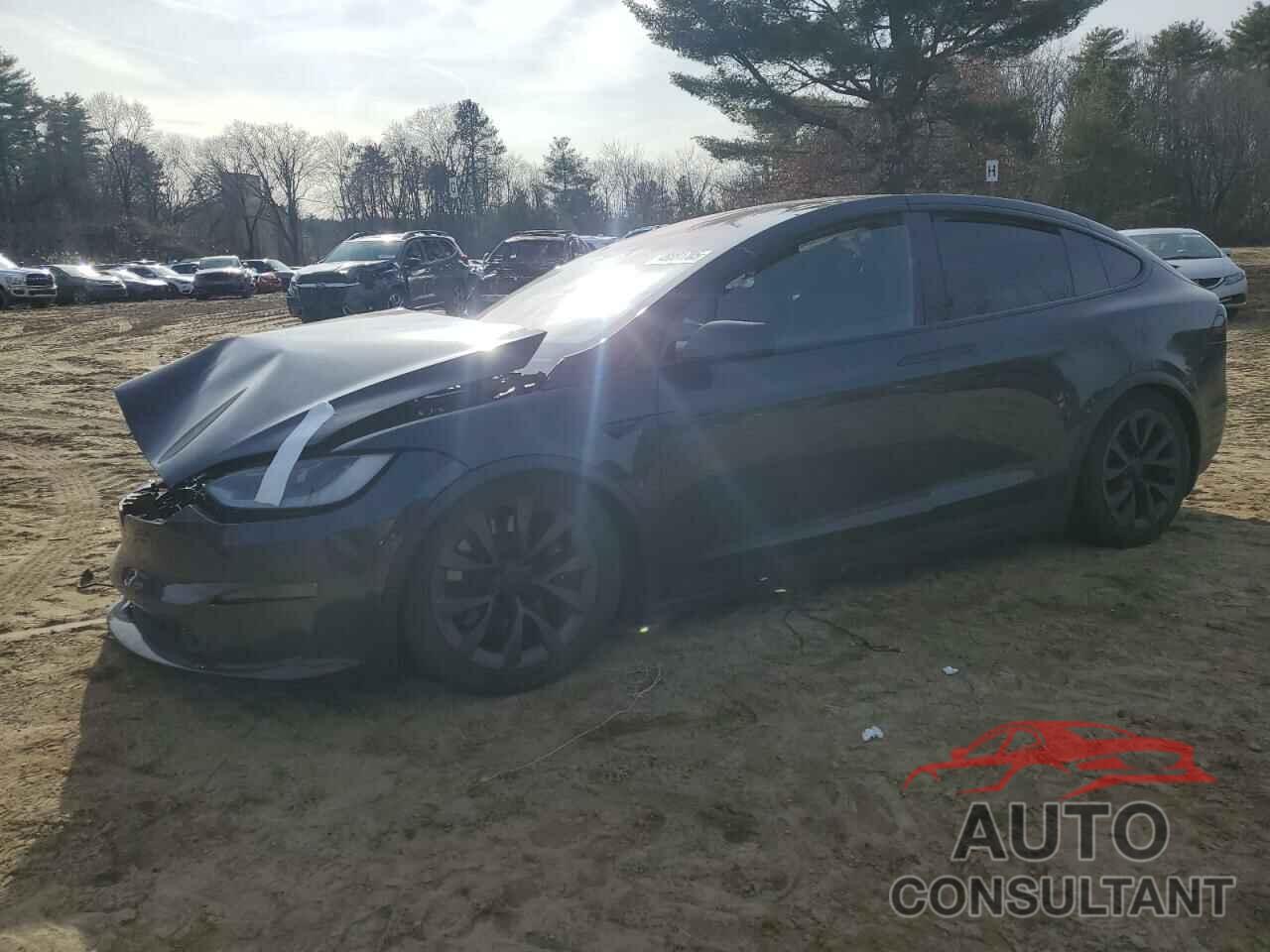 TESLA MODEL X 2024 - 7SAXCDE52RF449280