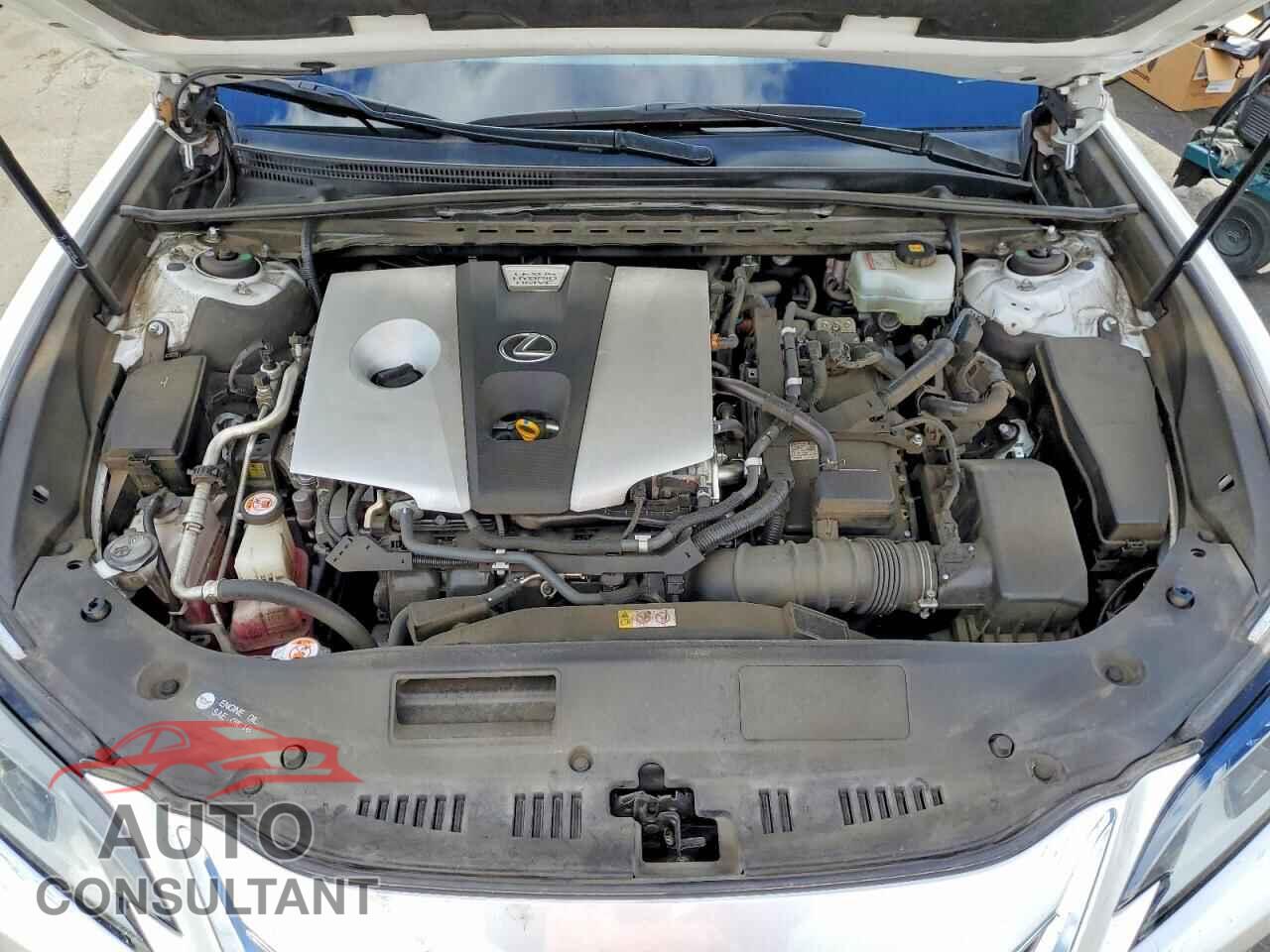 LEXUS ES300 2019 - JTHB21B15K2043589