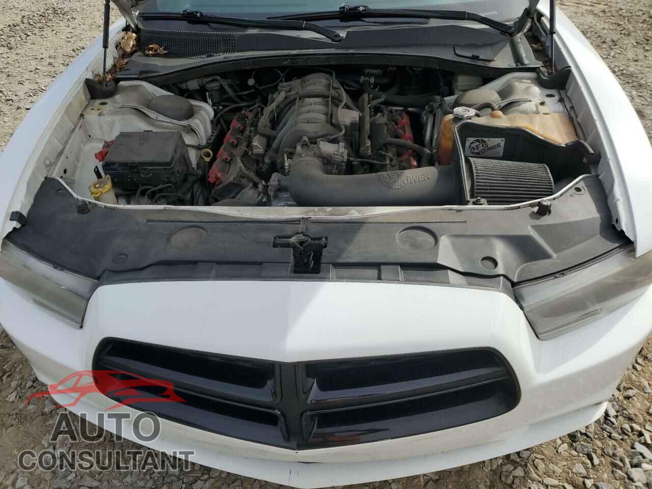 DODGE CHARGER 2014 - 2C3CDXDT8EH145955