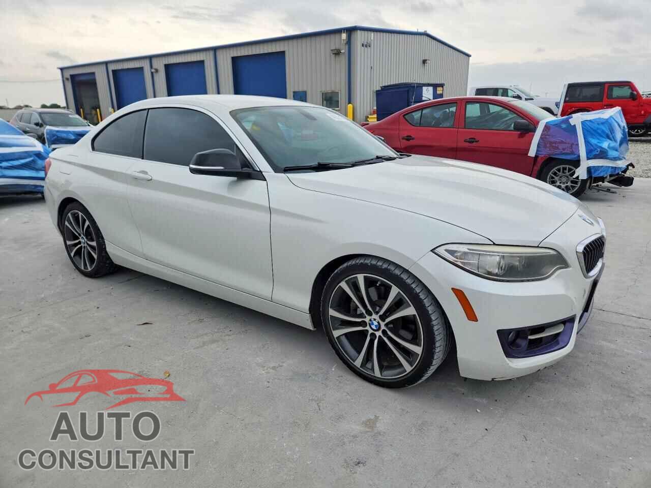 BMW 2 SERIES 2014 - WBA1F5C50EV246237