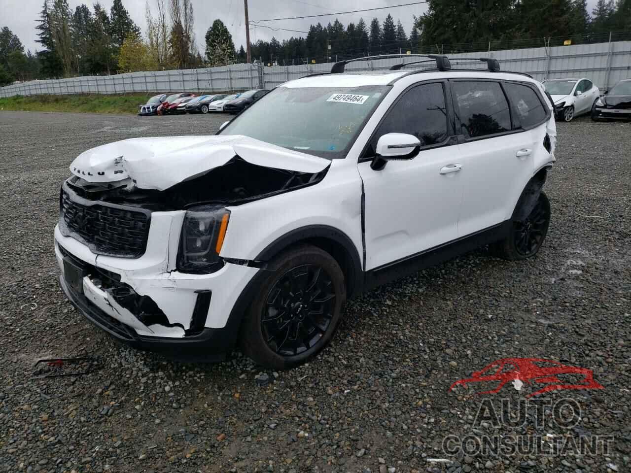 KIA TELLURIDE 2022 - 5XYP5DHC9NG221829