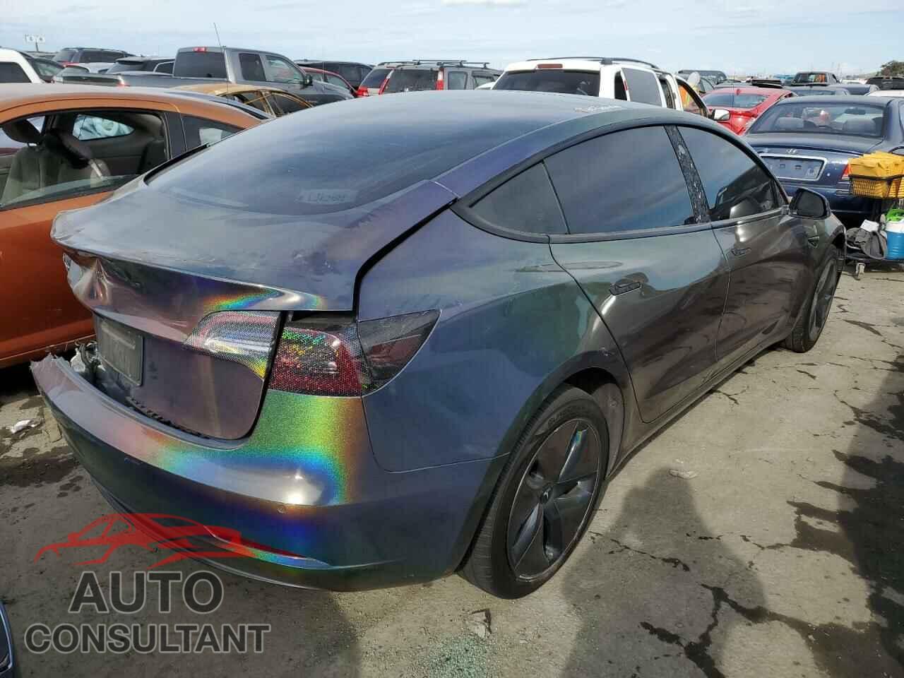 TESLA MODEL 3 2019 - 5YJ3E1EA9KF400830