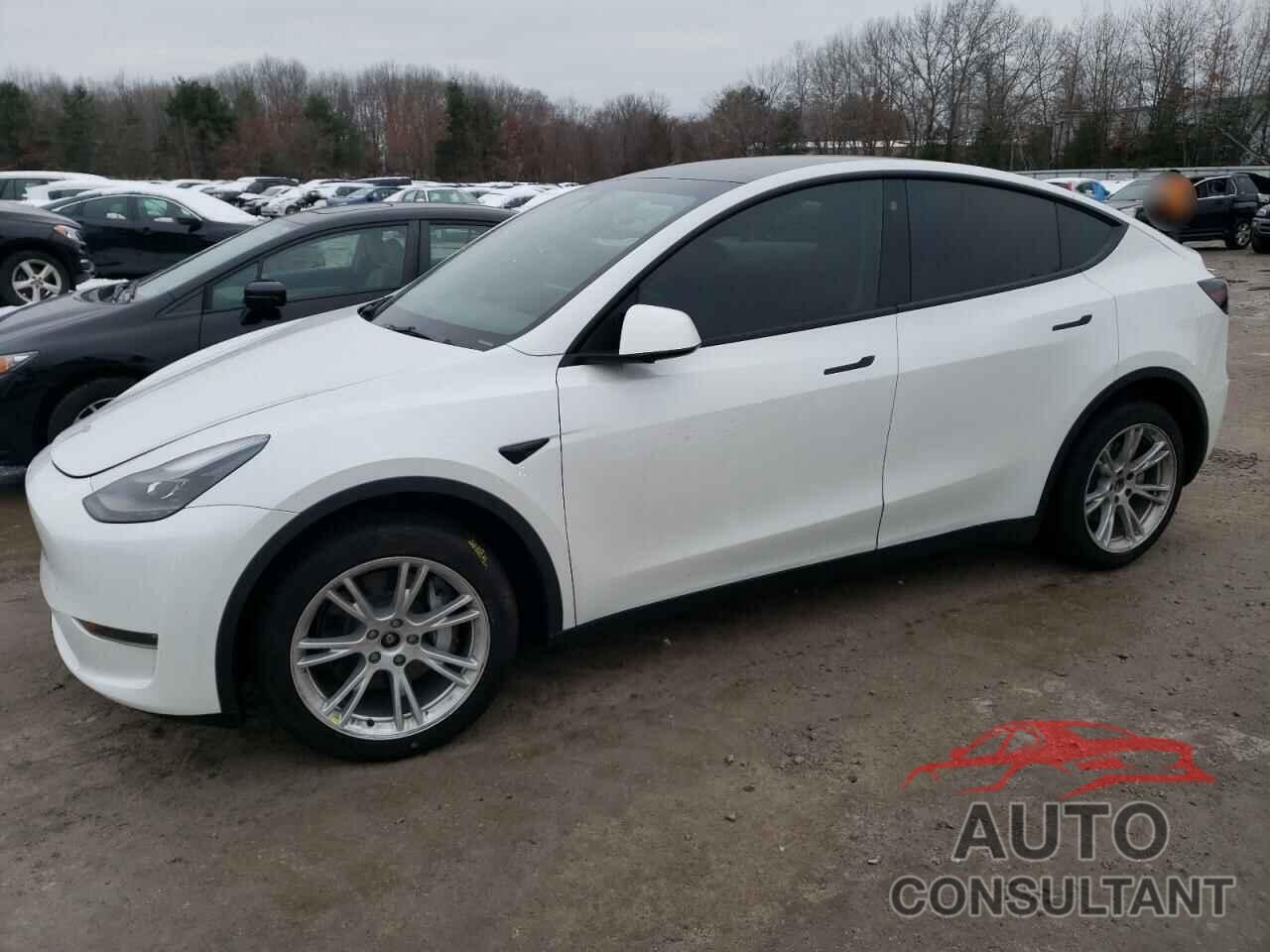 TESLA MODEL Y 2023 - 7SAYGDEE9PF662961