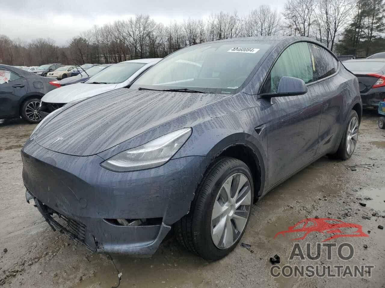 TESLA MODEL Y 2023 - 7SAYGDEE3PA115455