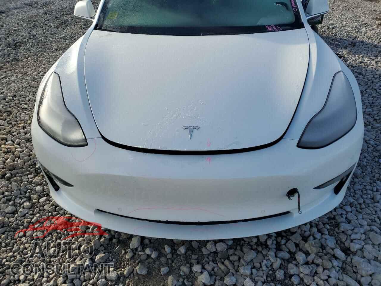 TESLA MODEL 3 2019 - 5YJ3E1EA1KF483783