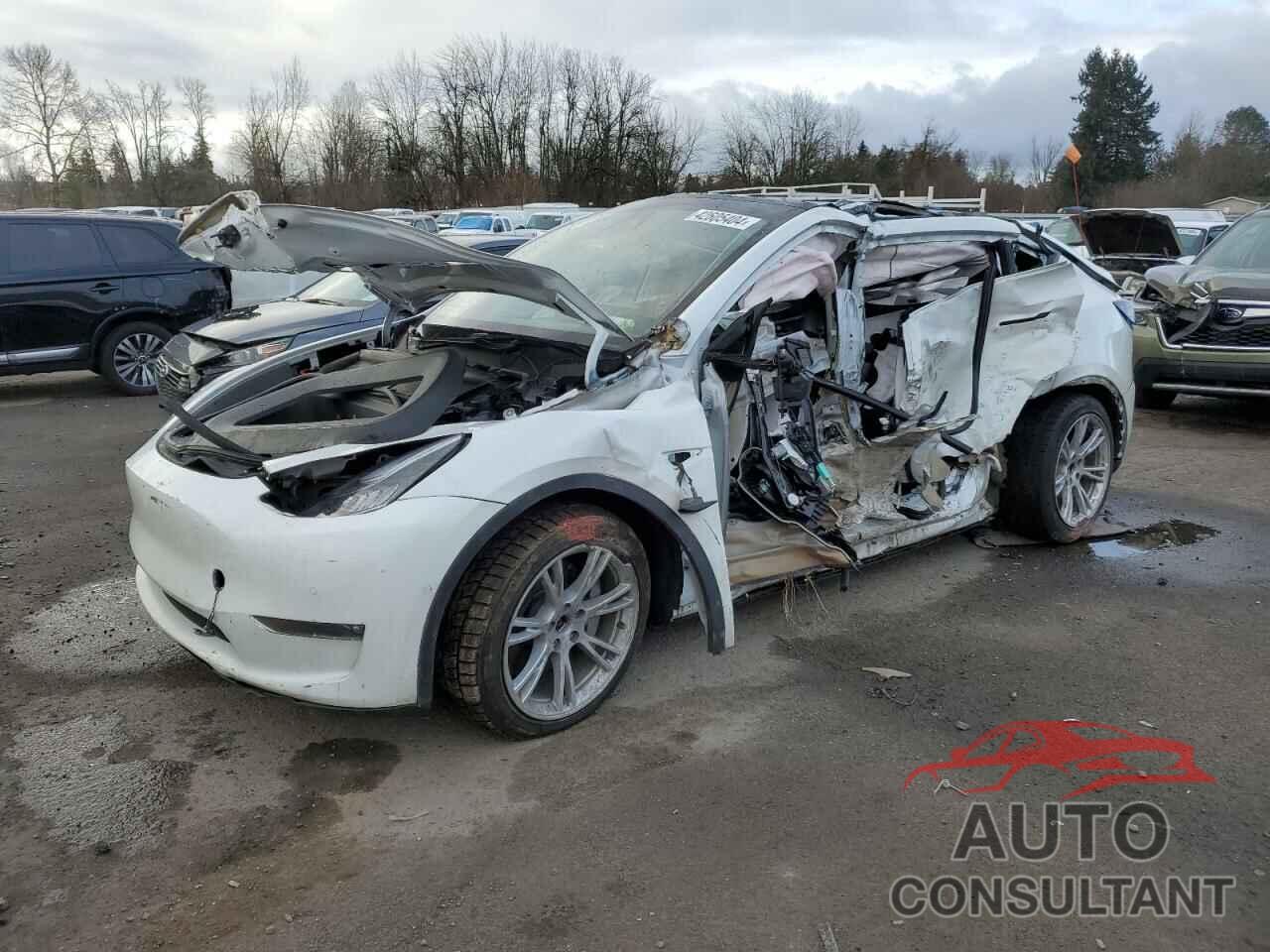 TESLA MODEL Y 2021 - 5YJYGAEE4MF237140