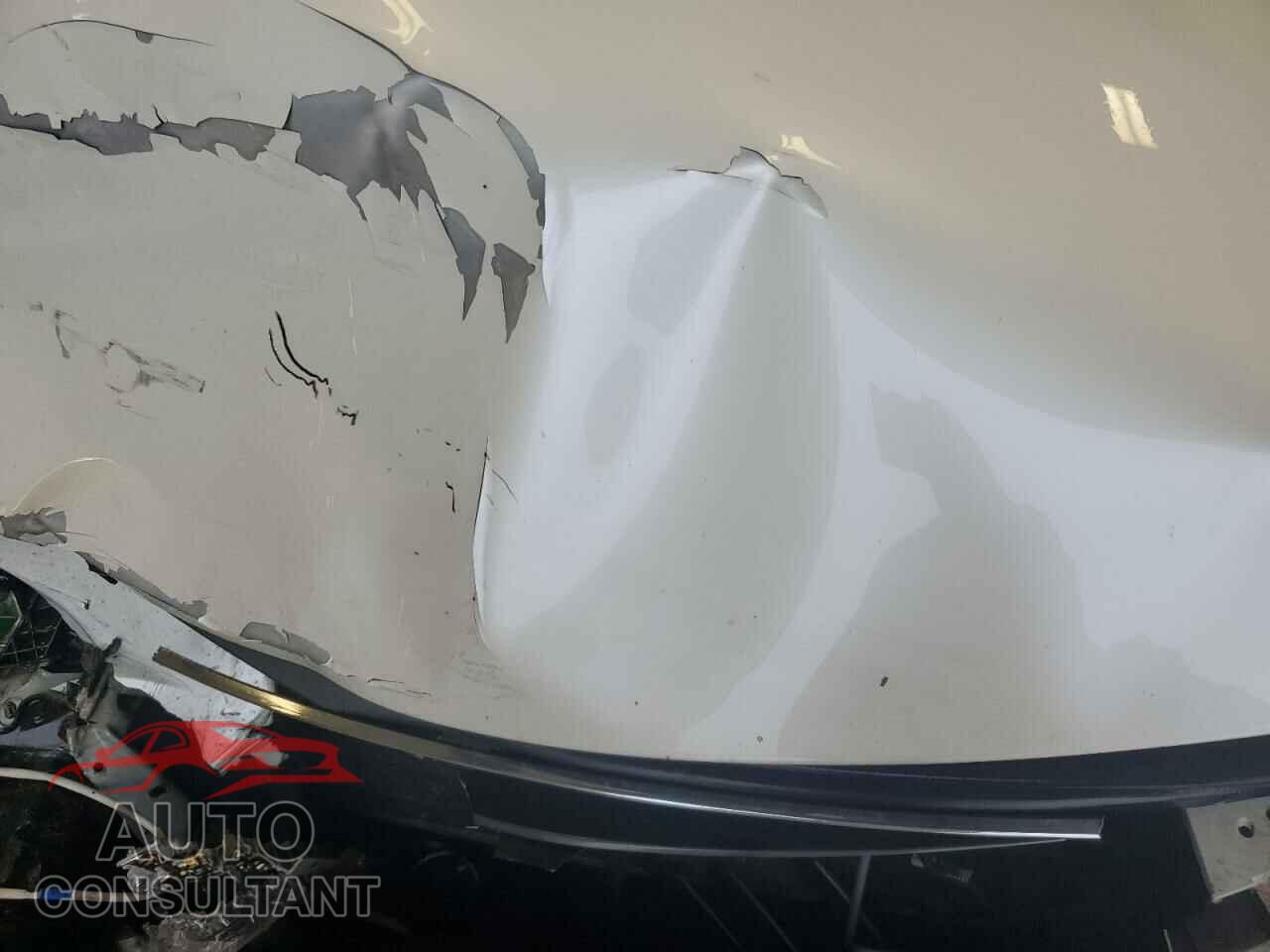 LEXUS IS 2014 - JTHBF1D24E5040728