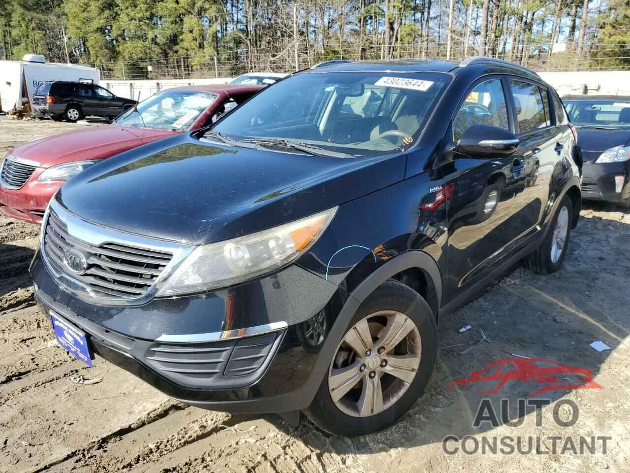 KIA SPORTAGE 2011 - KNDPBCA22B7138840