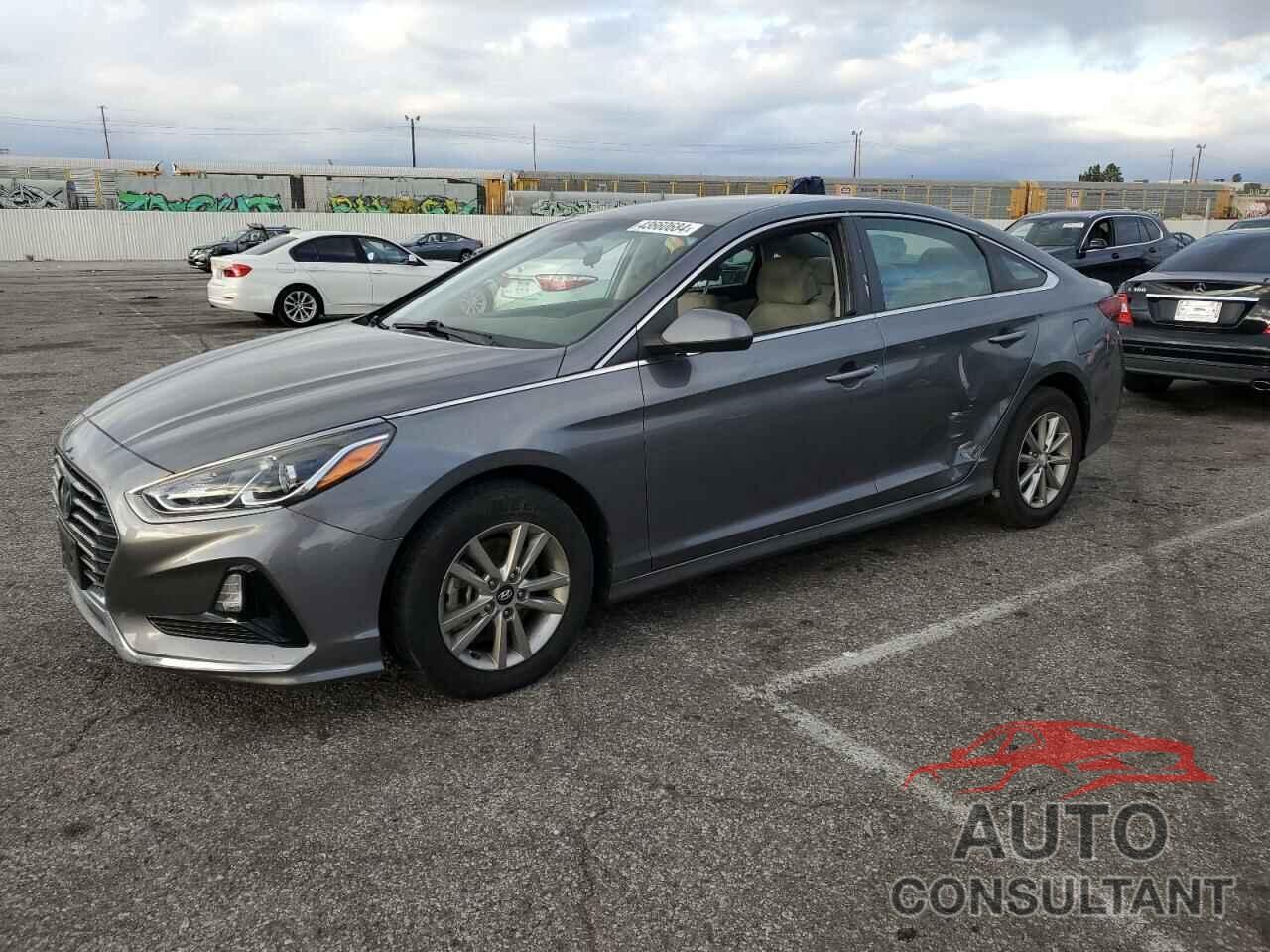 HYUNDAI SONATA 2019 - 5NPE24AF7KH797203