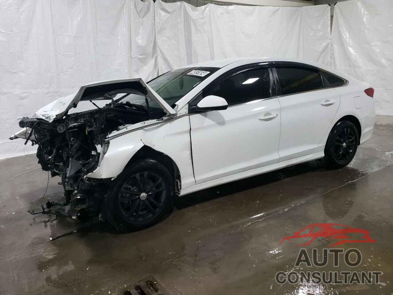 HYUNDAI SONATA 2019 - 5NPE24AF3KH789910