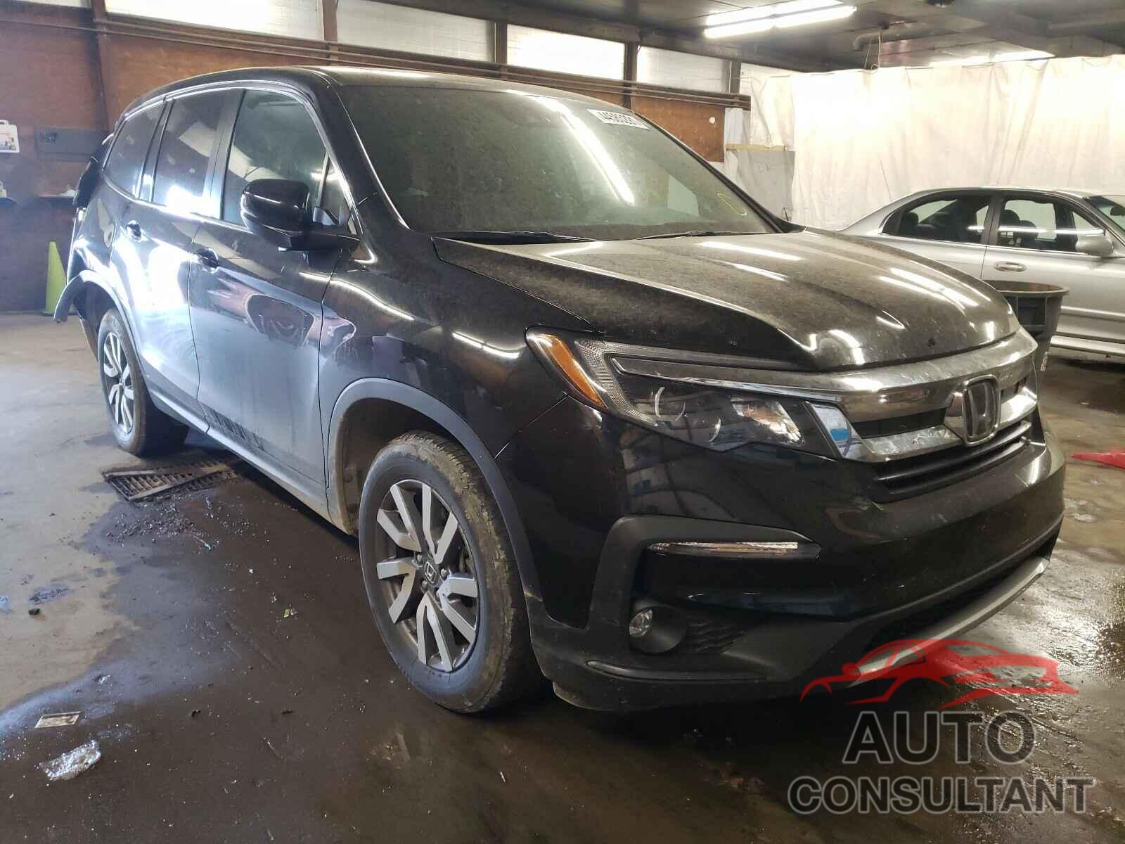 HONDA PILOT 2019 - 5FNYF6H53KB098384