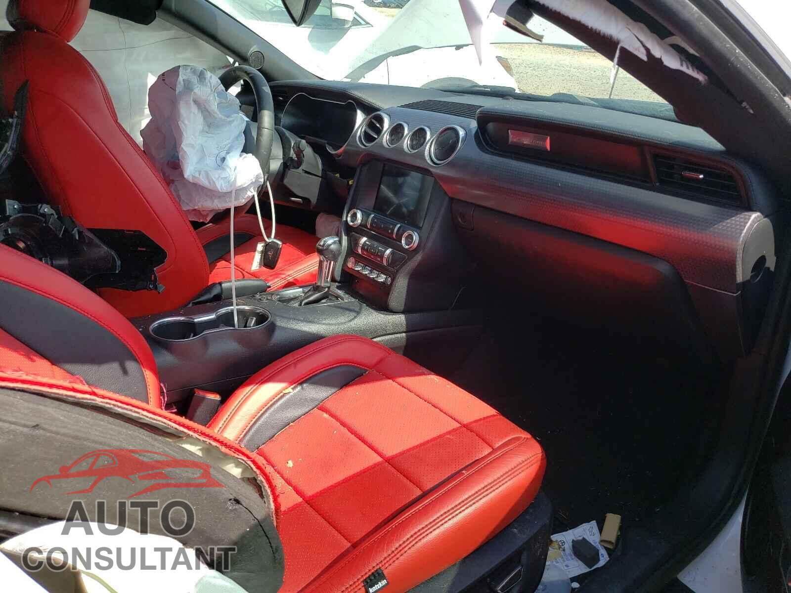 FORD MUSTANG 2019 - 1FA6P8CF5K5157085