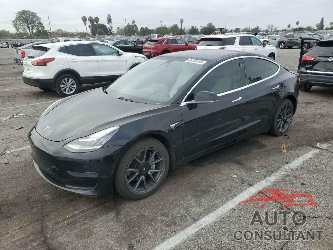 TESLA MODEL 3 2019 - 5YJ3E1EA3KF509171
