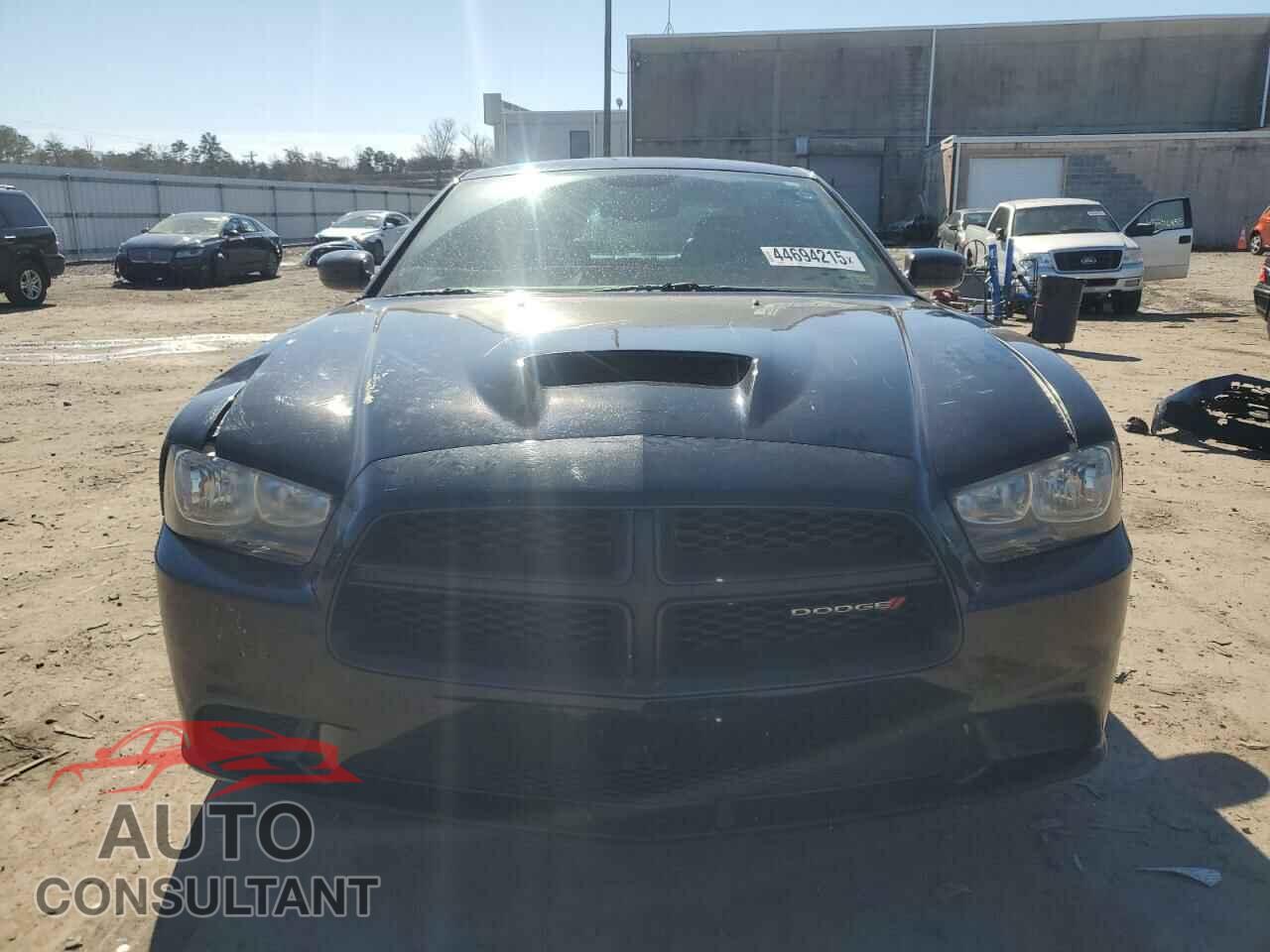 DODGE CHARGER 2014 - 2C3CDXAT0EH362520